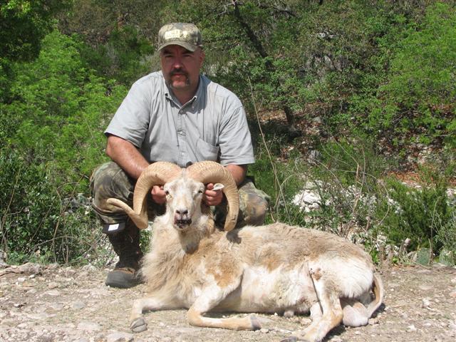 Man in camouflage pants and a grey shirt kneels behind a large ram with impressive horns