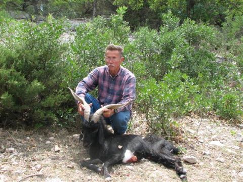 1986 Ford Bronco - A man kneels beside a dead black goat with impressive horns in a wooded area.