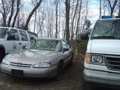 2001 Ford Crown Victoria - A 1995 Chevrolet Lumina sedan is parked between a van and a truck in a wooded area.