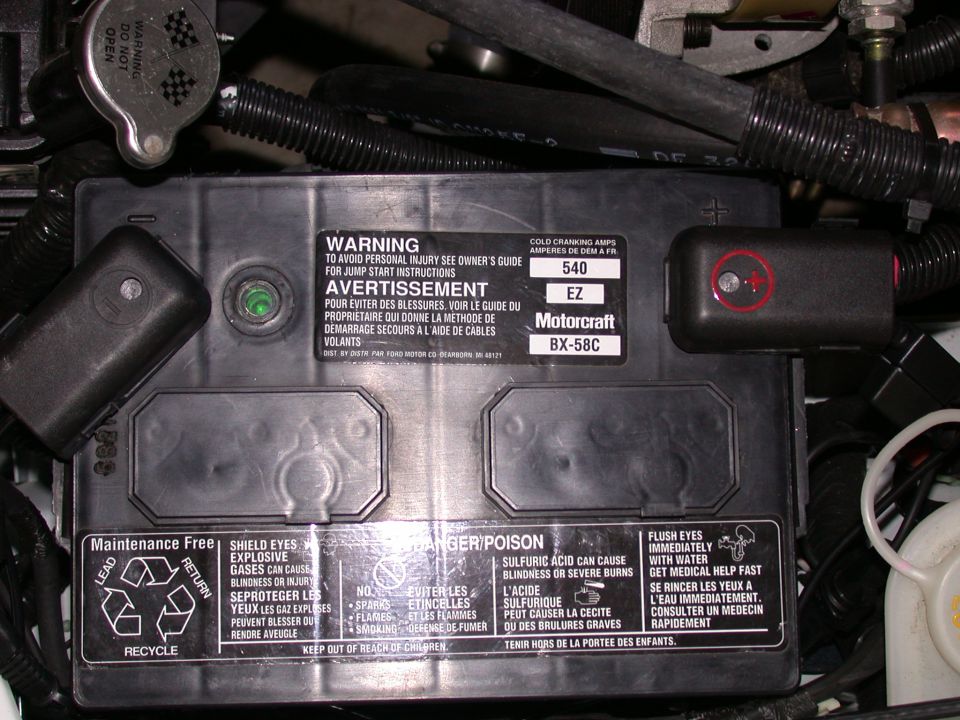 1995 Ford Mustang “Cobra R's”