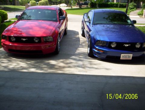 2006 Ford Mustang photo