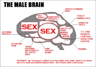 1979 Ford Bronco - A humorous diagram illustrates various regions of the male brain and their supposed functions.