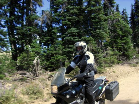 1997 BMW F650 - Riding a motorcycle through a wooded area on a sunny day.