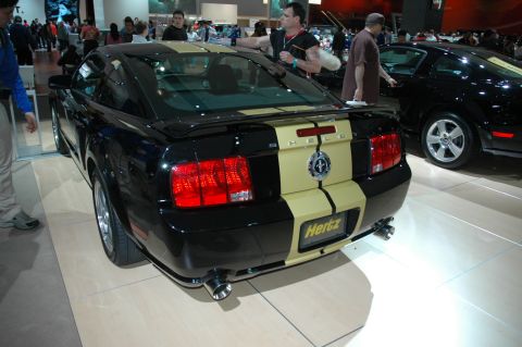 2005 Ford Mustang - Rear view of a black 2005 Ford Mustang with gold stripes and Hertz branding, parked indoors.