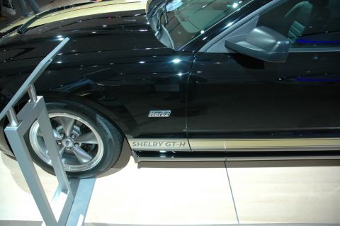 2005 Ford Mustang - A black Ford Mustang Shelby GT-H is displayed with gold racing stripes and side body trim.