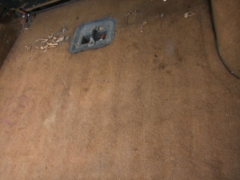 Tan carpeted vehicle floor with a black rubber drain or shifter plug and wood debris