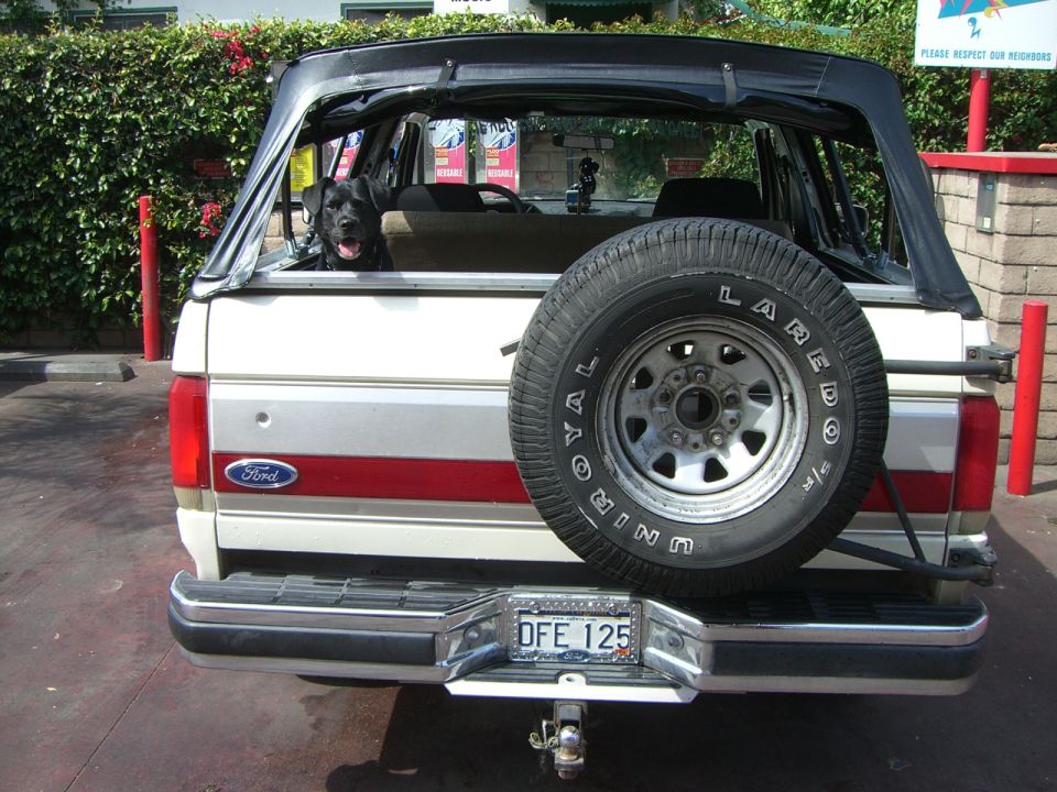 1988 Ford Bronco “Big, White Mule”