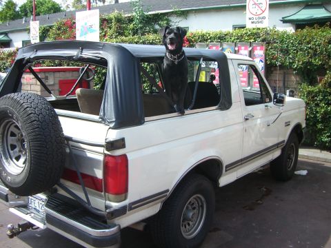 1988 Ford Bronco photo