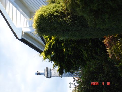 1993 Mazda MX-3 - A timestamped photo shows the exterior of a house with a chimney, partially obscured by lush green foliage.