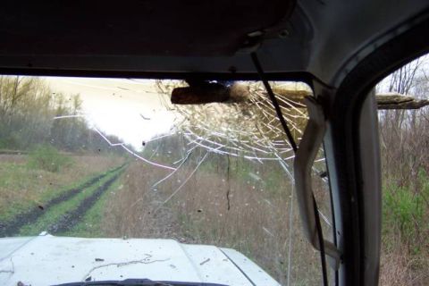 1978 Ford Bronco - A branch has broken through the windshield of this vehicle, which is on a dirt road in a wooded area.