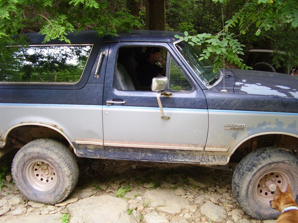 Side view of a blue and silver Ford Bronco parked on a rocky trail, with trees overhead