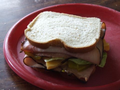 1986 Ford Bronco - My sandwich