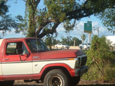 1978 Ford Bronco photo
