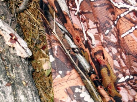 1986 Ford Bronco - yesterday evening i shot a javelina with my bow. i shot him at 20 yards in front of me. at the shot, he whirled and ran straight at my blin…