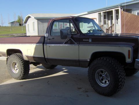 1979 Chevrolet C/K Pickup photo