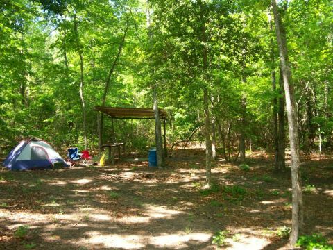 1993 Ford Bronco - A campsite is set up in a wooded area with a tent and a covered shelter.