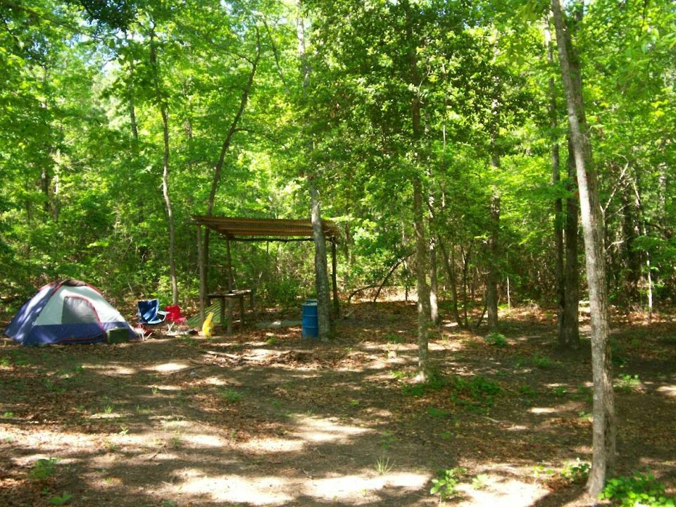 Campsite with a tent, chairs, and a covered shelter in a wooded area
