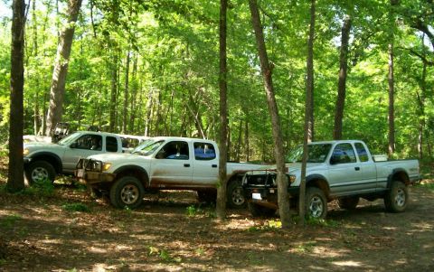 1993 Ford Bronco - Three white Toyota Tacoma pickups parked side by side in a green hardwood forest clearing, all sitting on all-terrain tires with mud on the…