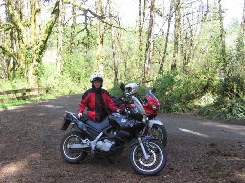 1997 BMW F650 - Two motorcycles are parked on a dirt road surrounded by trees, with riders in helmets ready for an adventure.