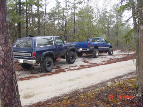 1995 Dodge 1500