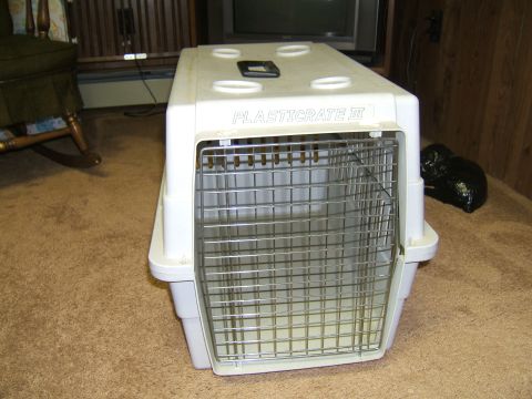 1998 Ford Taurus - A plastic pet carrier is shown indoors on a carpeted floor.