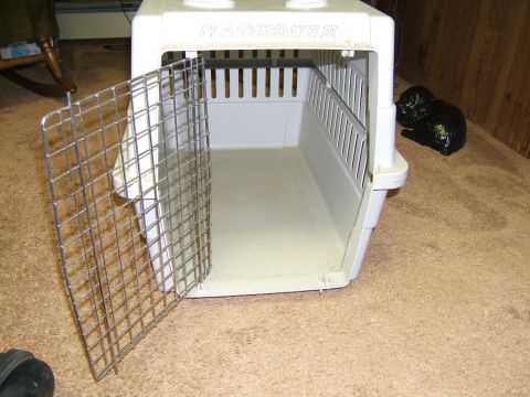 1998 Ford Taurus - A white plastic pet carrier with its wire door ajar sits on a carpeted floor.