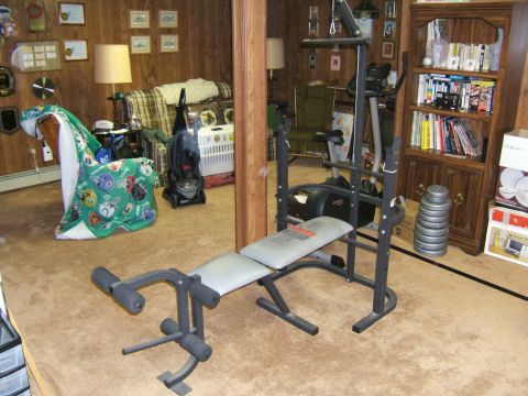 1998 Ford Taurus - Home gym equipment is set up in a room with a couch, vacuum, and bookshelf.