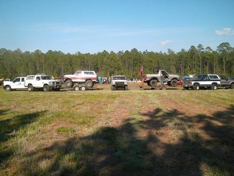 1986 Ford Bronco - A collection of modified trucks and SUVs are gathered in an open field, with a Bronco prominently displayed on a trailer.