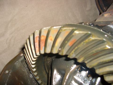 1990 Ford Bronco - Close-up of a differential gear showing signs of rust on the teeth.