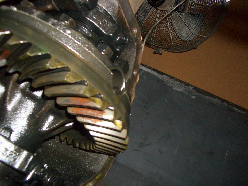 Close-up of differential gears with yellow grease
