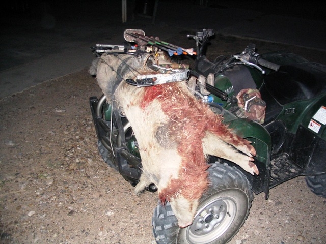 April 24, 2006