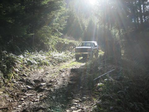 1995 Ford Bronco photo