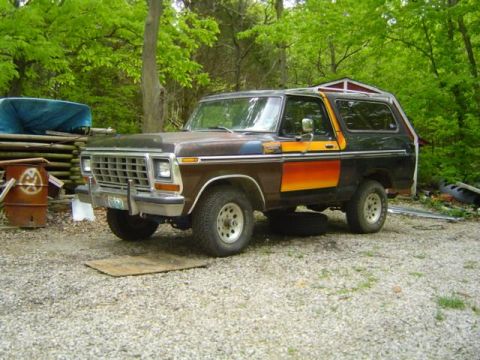 1979 Ford Bronco - A 1978 Ford Bronco with a distinctive multi-color stripe sits in a wooded area.