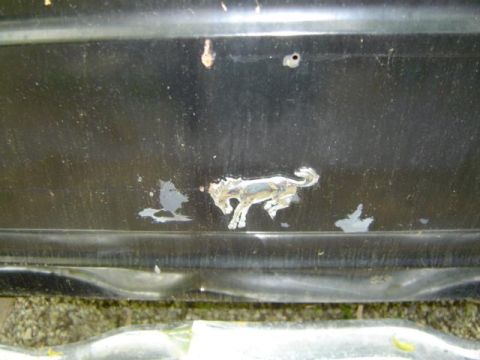 1979 Ford Bronco - Close-up of a chrome horse emblem on a damaged black surface.