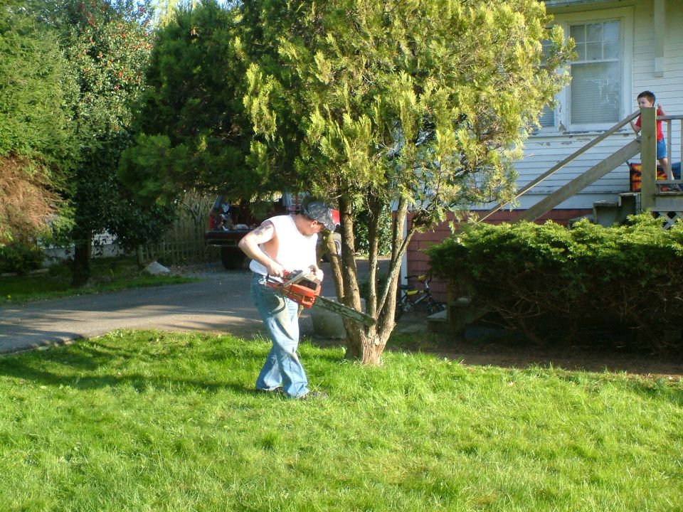 first I need to get this tree out of the way