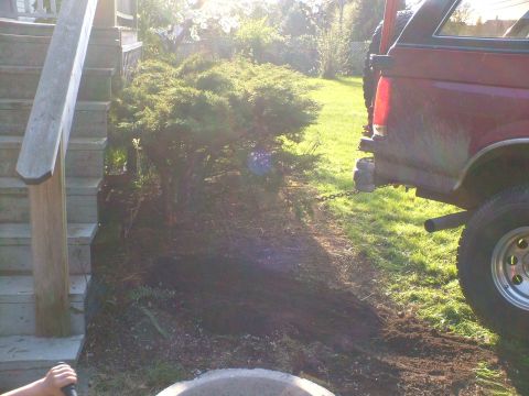 1989 Ford Bronco - 1 shrub was easy, lets try two