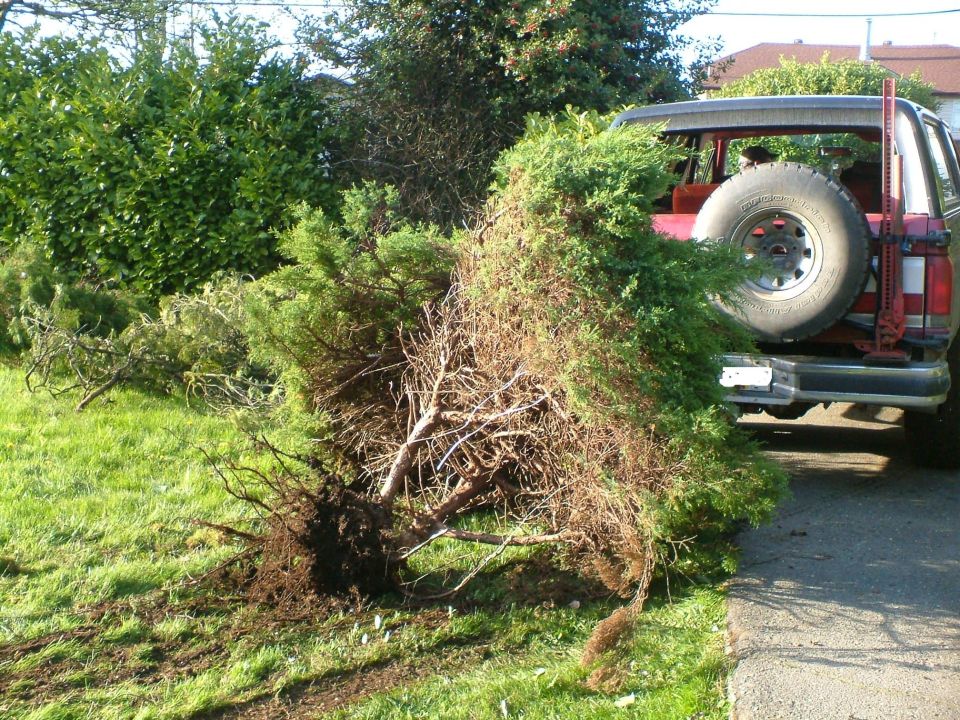 Uprooted shrub on a lawn beside a red SUV with a tailgate-mounted spare and hi-lift jack