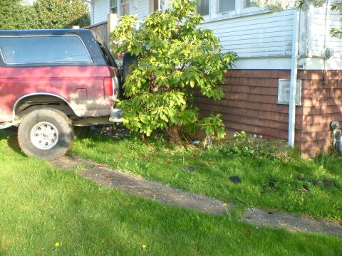 1989 Ford Bronco - last one