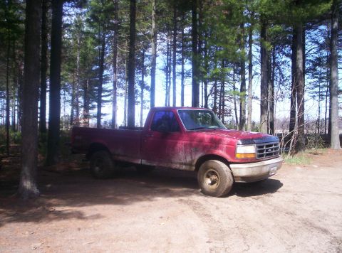 1994 Ford F-150 photo