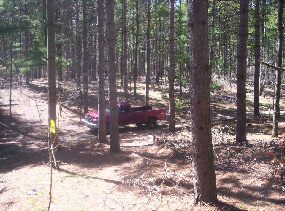 Red 1994 Ford F-150 pickup truck parked in a forest