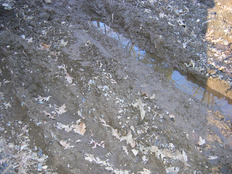 Churned gray mud with tire ruts, scattered oak leaves and a water-filled puddle