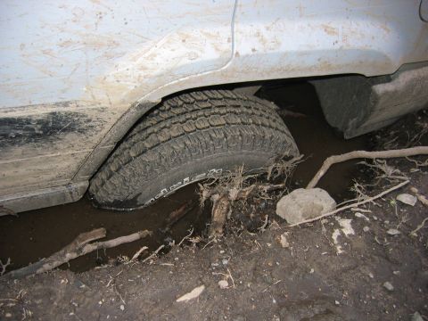 1995 Ford Bronco - A vehicle's tire is submerged in muddy water, entangled with branches and roots.