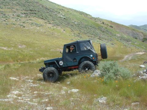 1994 Jeep YJ - A Jeep CJ-5 navigates a , grassy terrain with a driver visible inside.