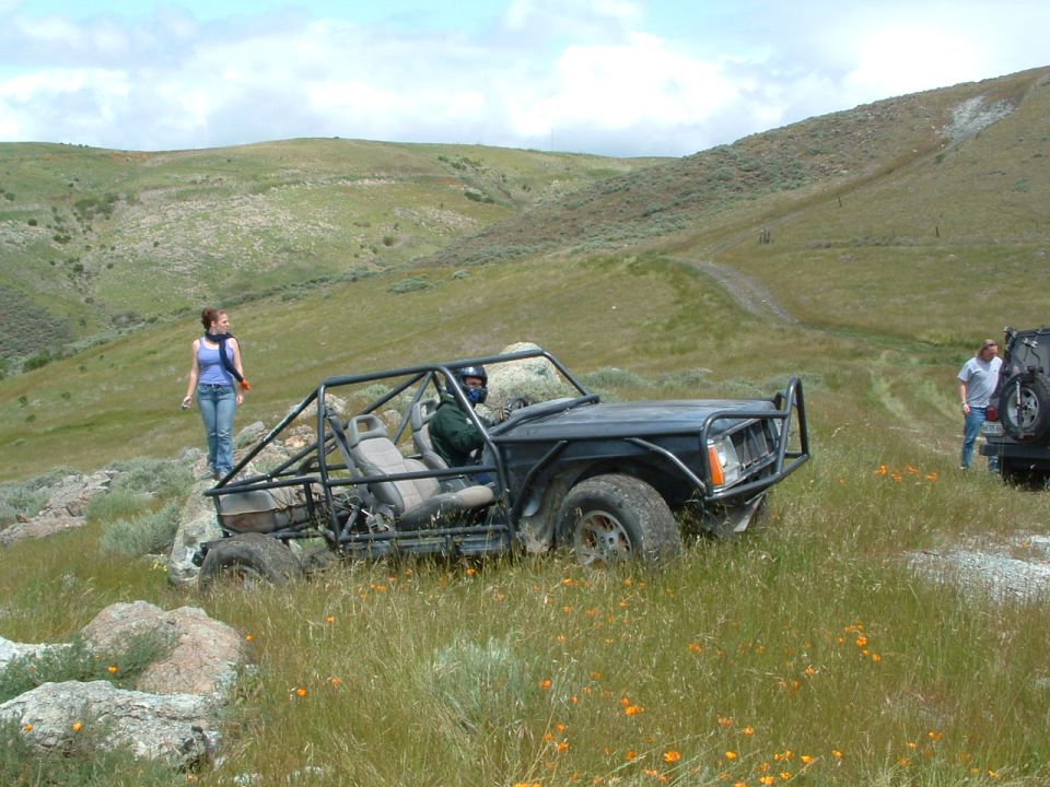 Black off-road vehicle with roll cage, modified body, in grassy field