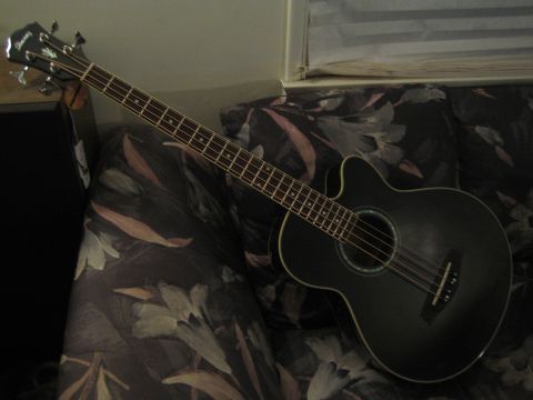 1968 Ford Mustang - An Ibanez acoustic bass guitar rests on a patterned couch.