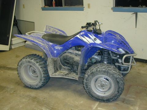 2006 Yamaha WOLVERINE - This blue ATV is covered in dust and dirt, suggesting it has been used off-road.