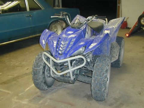 2006 Yamaha WOLVERINE photo