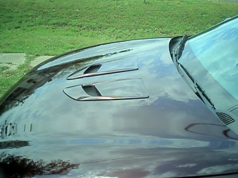 2002 Pontiac Grand Prix - Hood scoops on a 2002 Pontiac Grand Prix.