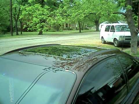 2002 Pontiac Grand Prix - A dark colored car's sunroof is visible with reflections of trees and sky. A white van is parked nearby.