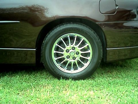 2002 Pontiac Grand Prix - The rear wheel and fender of a dark brown 2002 Pontiac Grand Prix are visible, with chrome rims and grass in the foreground.